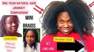 12 Months Natural Hair Growth Comparison Mini Braids Challenge