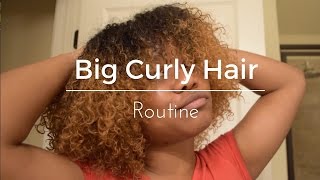 Big Curly Hair Routine