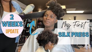 Update Reveal* My First Silk Press After 2 Weeks On On 4C Hair Natural Hair
