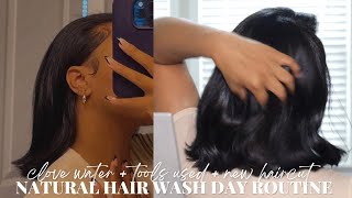 Wash Day Routine + Updates: Diy Silk Press, Curling My Hair, Curing Dandruff, Clove Water + More