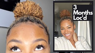 3 Month Loc Update | Headband Wig, Protective Styling, And More!