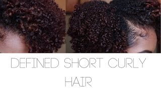 Defining Short Curly Natural Hair Ft. Mielle Organics