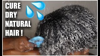Finally Found The Cure For My Dry Natural Hair || Overnight Hydration Routine