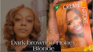 Creme Of Nature Honey Blonde On Dark Brown Virgin Hair