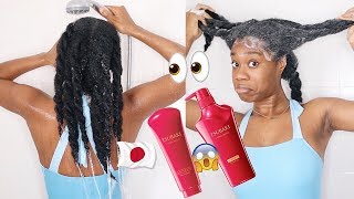 Black Girl Tries Japanese Hair Products On Type 4 Natural Hair!