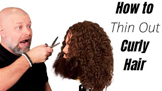 How To Thin Out Curly Hair - Thesalonguy