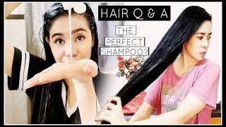 Hair Q & A- The Perfect Shampoo & Conditioner For All Hair Problems?? Beautyklove