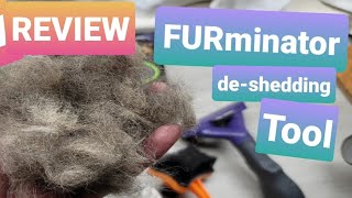Review: Furminator Medium / Long Hair Deshedding Tool For Cats