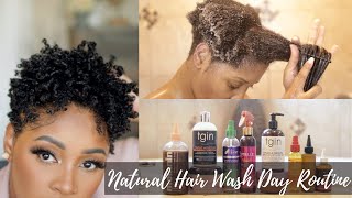 Wash Day Routine | Type 4 B, A, C Natural Hair Detangling, My Go To Natural Hair Care Products