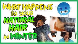 Winter Hair Regimen #Shorts #Haircaretips #Naturalhair #Winterhaircareroutine #Winterhaircare