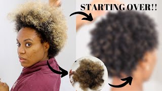 Starting My Natural Hair Journey Over! | Cutting It All Off