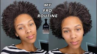 How I Achieve My Curly Afro On Short Natural Hair | Moisture & Volume!