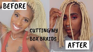 Watch Me Cut My Box Braids Into A Bob | Protective Styles