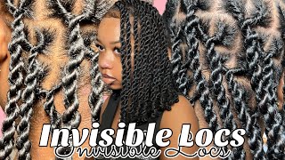 New Trend ! Invisible Locs / Two Strand Twists  | Two Methods | No Crochet & Crochet Method
