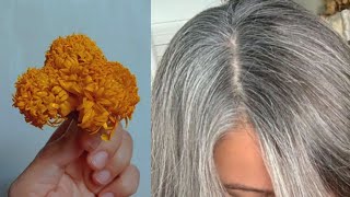 Gray Hair To Black Hair Naturally In 6 Minute / Gray Hair Dye With Marigold /Gray Hair To Black Hair