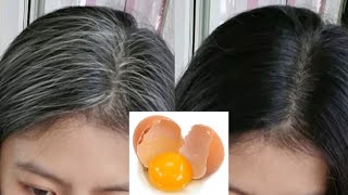 Gray Hair Dye Naturally In 3 Minutes || Gray Hair Dye Naturally With Egg & Herb