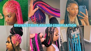 Skunk Stripe Braids Compilation 2022