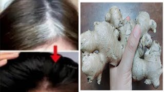 Gray Hair Turn To Black Permanently With Ginger !! Gray Hair Dye Naturally With Ginger
