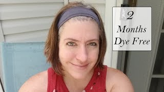 Transitioning To Gray Hair | Month 2