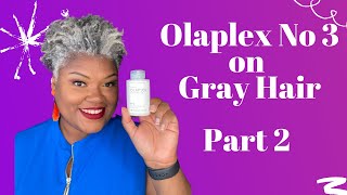 Olaplex No 3 On Gray Natural Hair Part 2 | Gray Hair Products For Fine Gray Hair