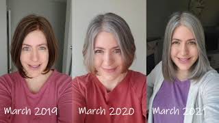 Gray Hair Transition | 2 Year Update