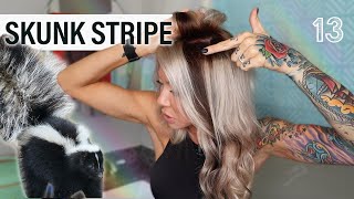Skunk Stripe Diy Sally'S 5N + Fanola $7 Blue Shampoo  | Hair Color Series #13