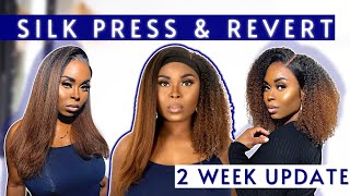 Wow!  So Worth It!! Blowout On Coily Wig Reverted To Natural Curls + 2 Week Update Ft Hergivenhair