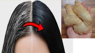 White Hair To Black Hair Natutally Permanently With Ginger // Gray Hair Natural Dye In 4 Minutes