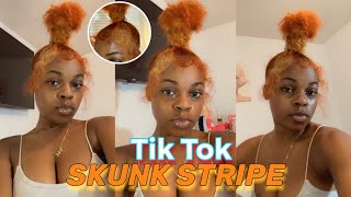 Tik Tok Skunk Stripe On Natural Hair| Dyeing My Hair Ginger And Blonde