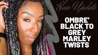 Gray Hair Update | Ombre Gray To Black Marley Twists Tutorial
