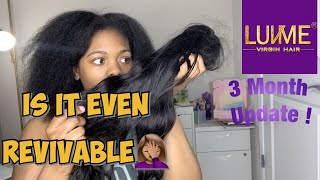 Trying To Revive My Luvme Hair Wig | 3 Month Wig Update