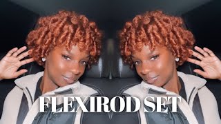 Flexirod Set On Short/Medium Natural Hair (Type 4 Hair)