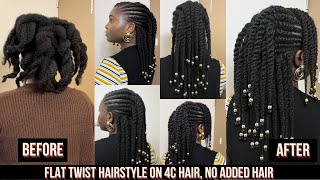Flat Twist Hairstyle (Patewo) On 4C Hair, No Added Hair | Holiday Hairstyle 1