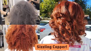 #Salonwork: From Natural Black To Sizzling Copper...With No Bleach! | Beauty Desi'S Way