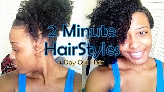 3C/4A Natural Hair | 2 Minute Hair Styles | Medium Length Hair
