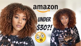   Amazon Wigs For Under $30?!  You Need This Wig, Sis!