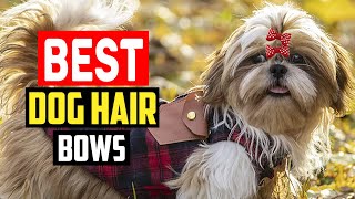 Top 5 Best Dog Hair Bows In 2022