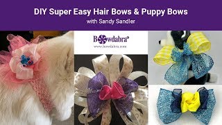 Super Easy Hair Bows And Puppy Bows