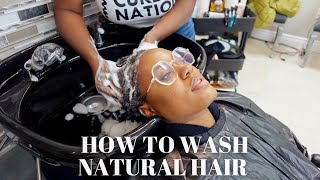 How To Cleanse Natural Hair | Detailed Salon Visit
