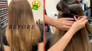 Showpony Hair Extension Review | Celenarose