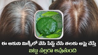 Homemade Natural Hair Dye | Remedy For White Hair To Black Hair | Hair Color |Manthena'S Beauty