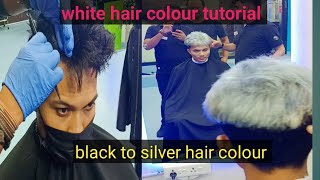 Black To Silver Hair Transformation//Silver Grey Hair Men, White Hair Quick