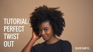 How To: The Perfect Twist Out | Black Hair Is...