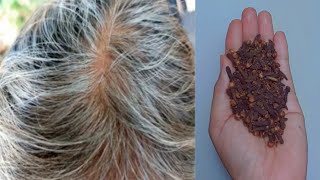 White Hair To Black Hair Naturally  Permanently With Clove | Gray Hair Natural Dye With Clove