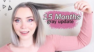 Gray Hair Transition - 15 Month Update