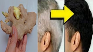 Gray Hair  Black Hair Naturally Permanently In 6 Minutes | Gray Hair Natural Dye With Ginger