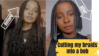 Cutting My Braids Into A Straight Bob | Nigerian Youtuber ~ Miss Ola