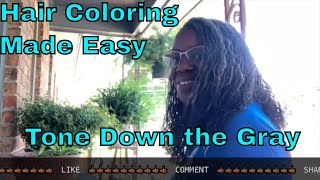 How I Toned Down Gray #Hair Color And Day 2 Results 503 #Hairforthejourney #Sisterlocks #Microlocs