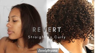 Watch Me Revert Back To Curly | 3B/3C Fine Hair | Lovelybryana