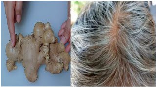 White Hair To Black Hair Naturally Permanently In 6 Minutes !! Gray Hair  Natural Dye With Ginger !!